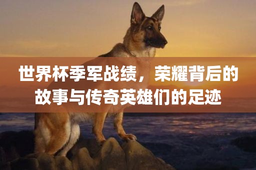世界杯季军战绩，荣耀背后的故事与传奇英雄们的足迹