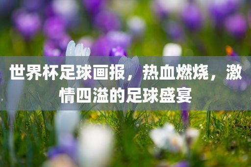 世界杯足球画报，热血燃烧，激情四溢的足球盛宴
