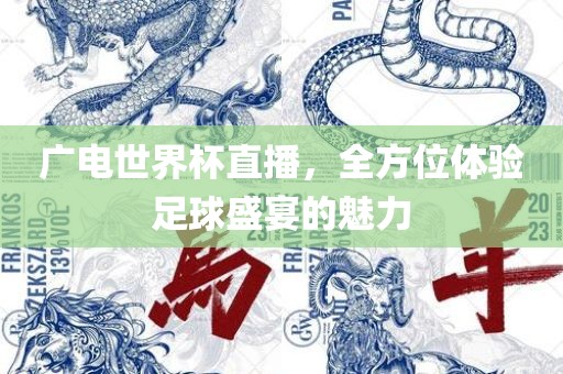 广电世界杯直播，全方位体验足球盛宴的魅力