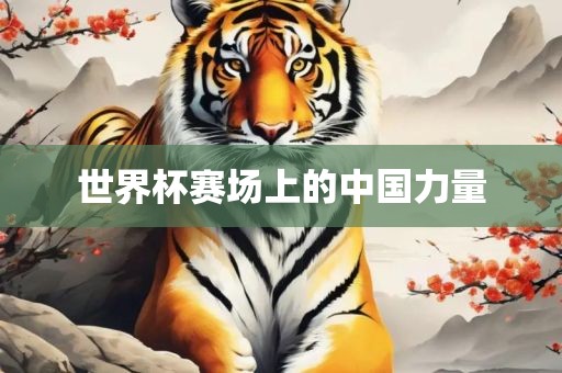 世界杯赛场上的中国力量