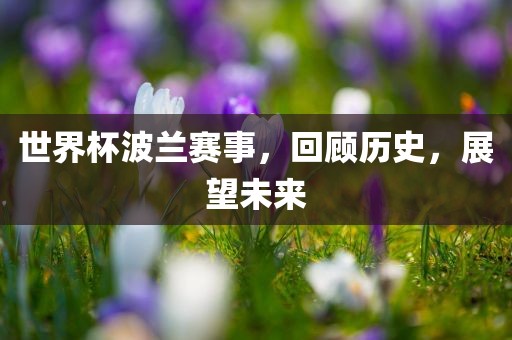 世界杯波兰赛事，回顾历史，展望未来