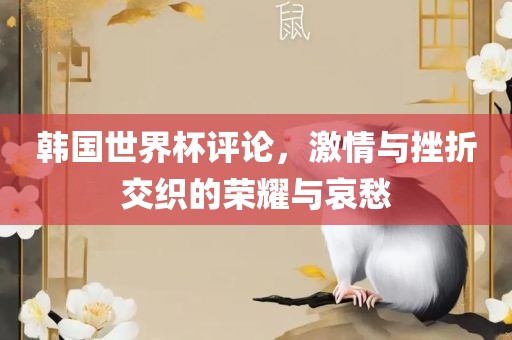 韩国世界杯评论，激情与挫折交织的荣耀与哀愁