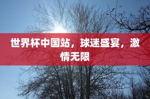世界杯中国站，球迷盛宴，激情无限
