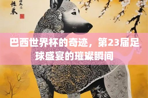 巴西世界杯的奇迹，第23届足球盛宴的璀璨瞬间