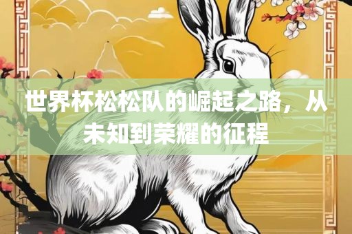 世界杯松松队的崛起之路，从未知到荣耀的征程
