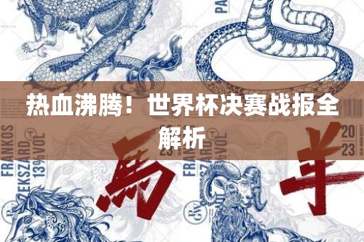 热血沸腾！世界杯决赛战报全解析