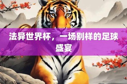 法异世界杯，一场别样的足球盛宴