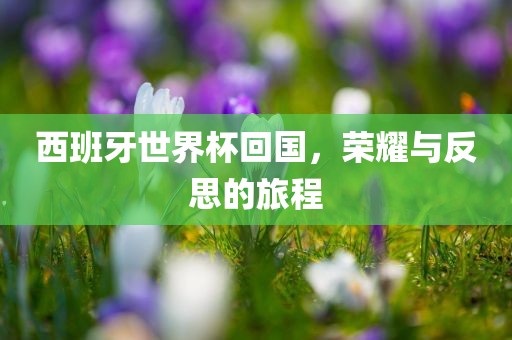 西班牙世界杯回国，荣耀与反思的旅程