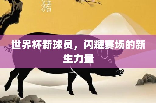世界杯新球员，闪耀赛场的新生力量
