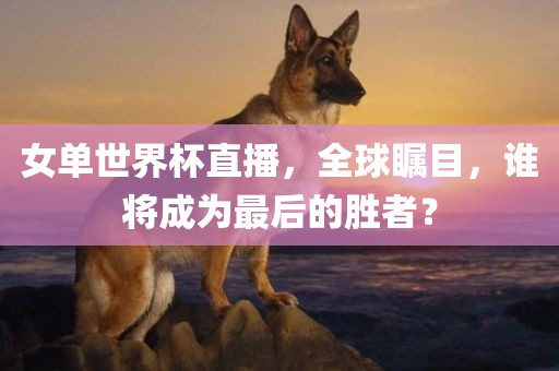 女单世界杯直播，全球瞩目，谁将成为最后的胜者？