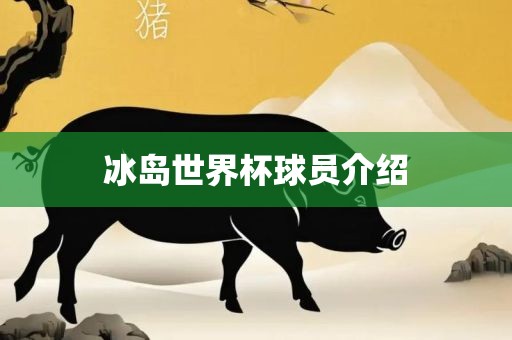 冰岛世界杯球员介绍