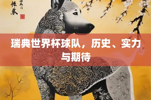 瑞典世界杯球队，历史、实力与期待