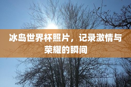 冰岛世界杯照片，记录激情与荣耀的瞬间
