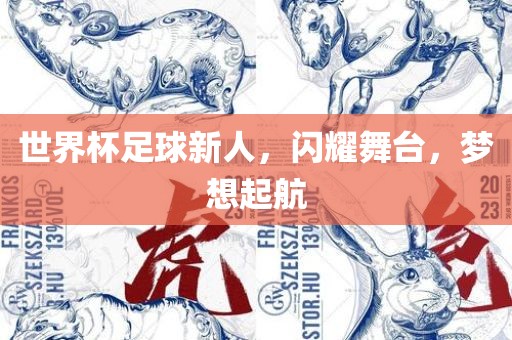 世界杯足球新人，闪耀舞台，梦想起航