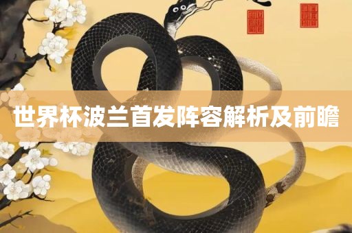 世界杯波兰首发阵容解析及前瞻