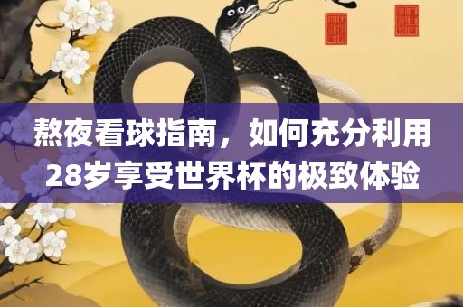 熬夜看球指南，如何充分利用28岁享受世界杯的极致体验