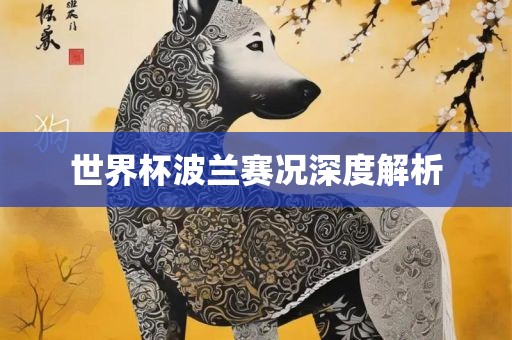 世界杯波兰赛况深度解析