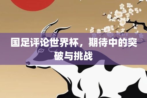 国足评论世界杯，期待中的突破与挑战