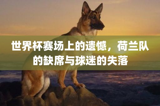 世界杯赛场上的遗憾，荷兰队的缺席与球迷的失落