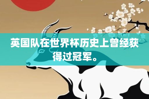英国队在世界杯历史上曾经获得过冠军。