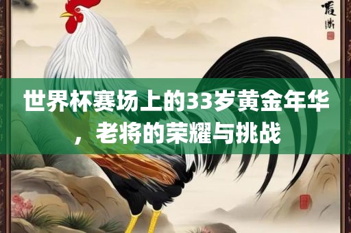世界杯赛场上的33岁黄金年华，老将的荣耀与挑战