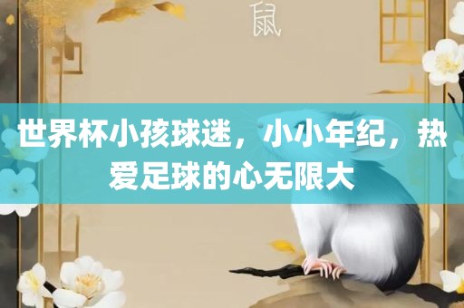 世界杯小孩球迷，小小年纪，热爱足球的心无限大