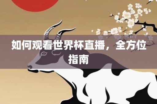 如何观看世界杯直播，全方位指南
