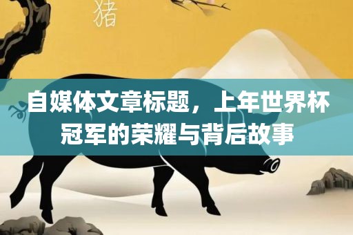 自媒体文章标题，上年世界杯冠军的荣耀与背后故事