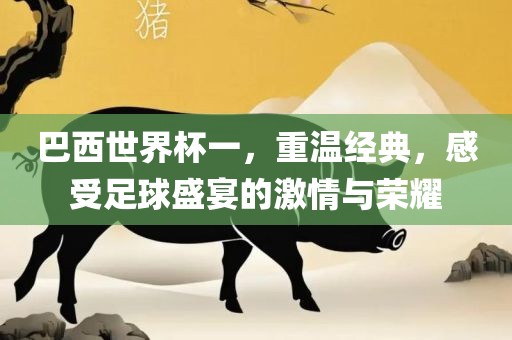 巴西世界杯一，重温经典，感受足球盛宴的激情与荣耀