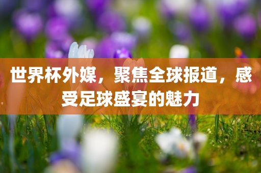 世界杯外媒，聚焦全球报道，感受足球盛宴的魅力