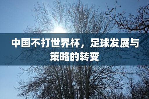 中国不打世界杯，足球发展与策略的转变