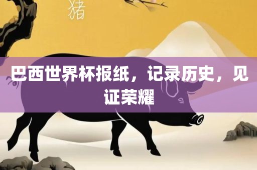 巴西世界杯报纸，记录历史，见证荣耀