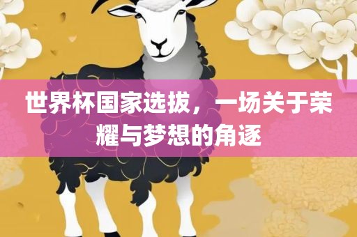 世界杯国家选拔，一场关于荣耀与梦想的角逐