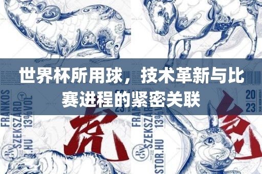 世界杯所用球，技术革新与比赛进程的紧密关联