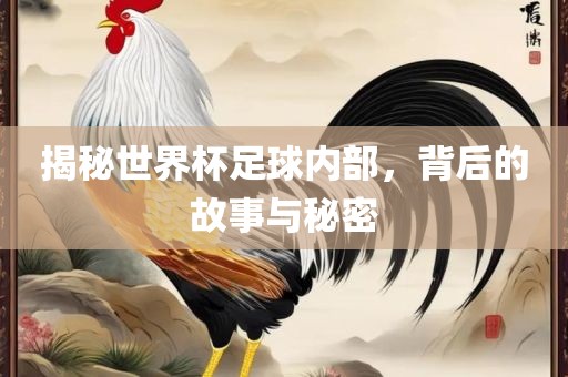 揭秘世界杯足球内部，背后的故事与秘密