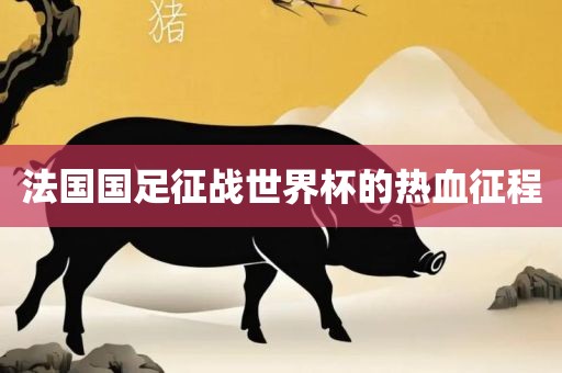 法国国足征战世界杯的热血征程