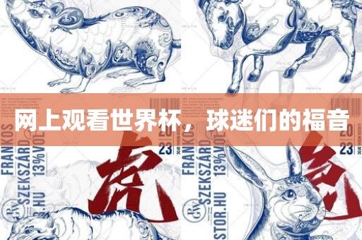 网上观看世界杯，球迷们的福音