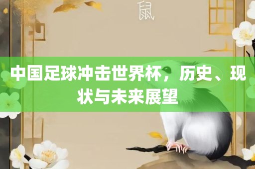 中国足球冲击世界杯，历史、现状与未来展望