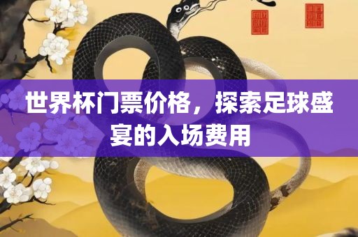 世界杯门票价格，探索足球盛宴的入场费用