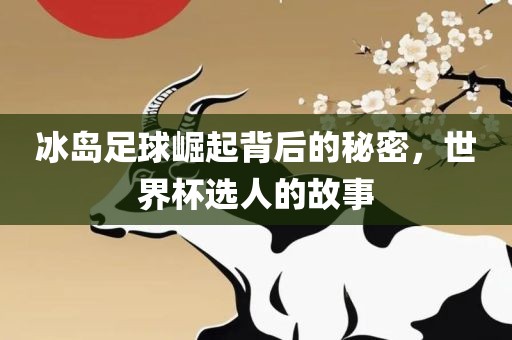 冰岛足球崛起背后的秘密，世界杯选人的故事