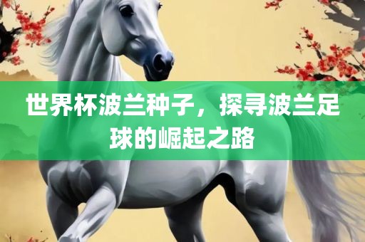 世界杯波兰种子，探寻波兰足球的崛起之路