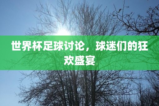 世界杯足球讨论，球迷们的狂欢盛宴