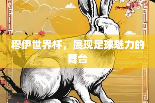 穆伊世界杯，展现足球魅力的舞台