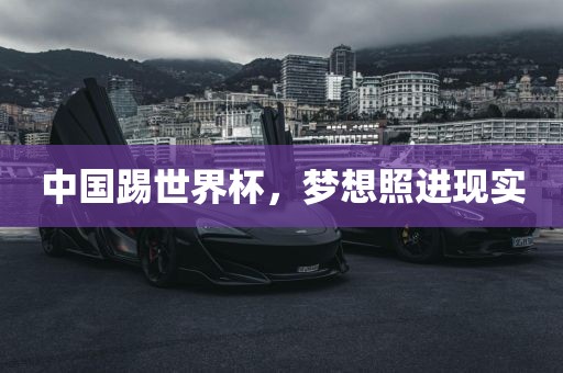 中国踢世界杯，梦想照进现实