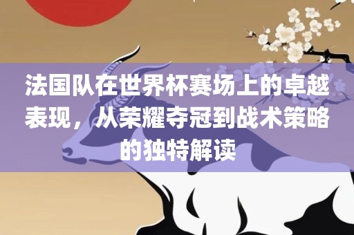 法国队在世界杯赛场上的卓越表现，从荣耀夺冠到战术策略的独特解读