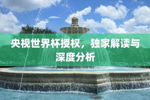 央视世界杯授权，独家解读与深度分析