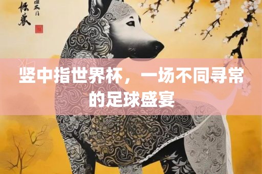 竖中指世界杯，一场不同寻常的足球盛宴