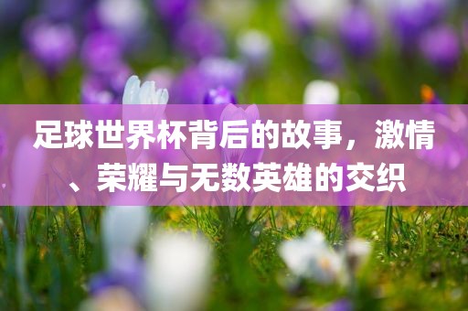足球世界杯背后的故事，激情、荣耀与无数英雄的交织