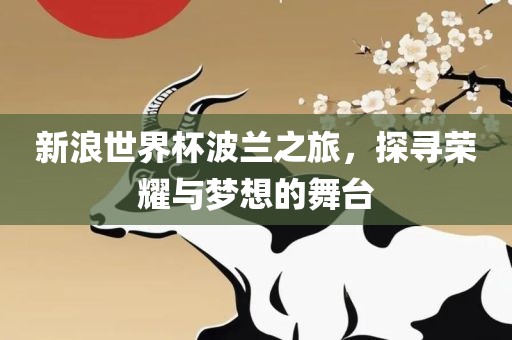 新浪世界杯波兰之旅，探寻荣耀与梦想的舞台