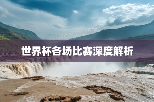 世界杯各场比赛深度解析